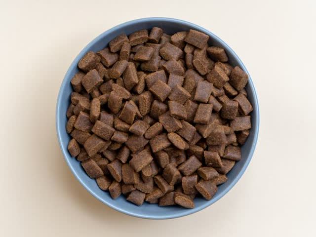 En alimento balanceado de 15 kg en Veterinaria Patitas